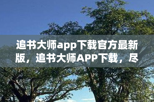 追书大师app下载官方最新版，追书大师APP下载，尽享海量小说，打造个性化阅读体验