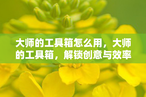 大师的工具箱怎么用，大师的工具箱，解锁创意与效率的神秘钥匙