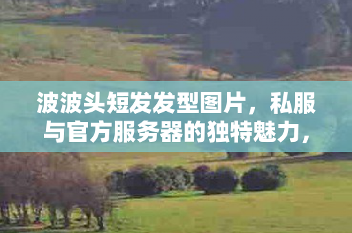 波波头短发发型图片，私服与官方服务器的独特魅力，探索游戏世界的不同维度