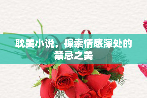 耽美小说，探索情感深处的禁忌之美