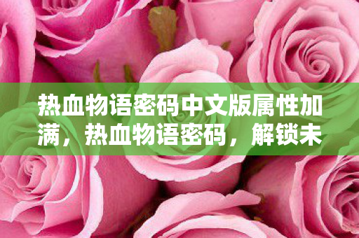 热血物语密码中文版属性加满，热血物语密码，解锁未知世界的神秘钥匙