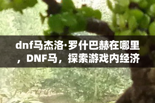 dnf马杰洛·罗什巴赫在哪里,DNF马,探索游戏内经济系统的奥秘与影响 dnf马杰洛·罗什巴赫在哪里,DNF马,探索游戏内经济系统的奥秘与影响