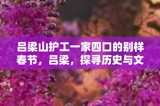 吕梁山护工一家四口的别样春节，吕梁，探寻历史与文化的交汇点