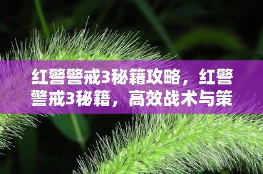 红警警戒3秘籍攻略，红警警戒3秘籍，高效战术与策略指南