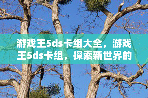 游戏王5ds卡组大全，游戏王5ds卡组，探索新世界的力量
