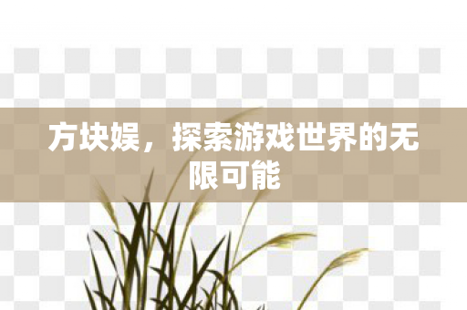 方块娱，探索游戏世界的无限可能