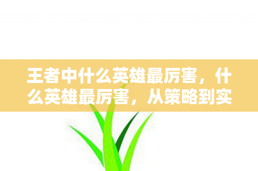 王者中什么英雄最厉害,什么英雄最厉害,从策略到实战,全面解析王者荣耀中的全能英雄—韩信 王者中什么英雄最厉害,什么英雄最厉害,从策略到实战,全面解析王者荣耀中的全能英雄—韩信