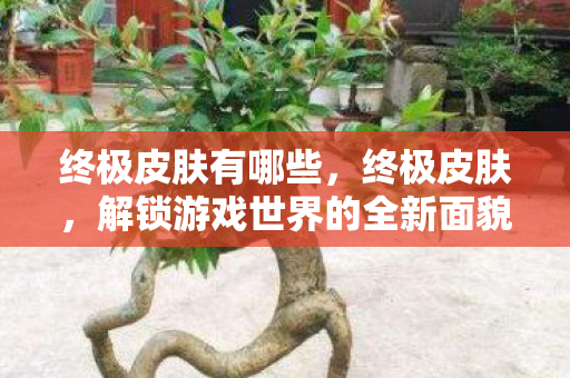 终极皮肤有哪些,终极皮肤,解锁游戏世界的全新面貌 终极皮肤有哪些,终极皮肤,解锁游戏世界的全新面貌