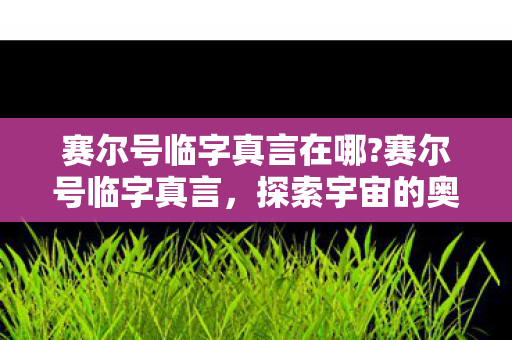 赛尔号临字真言在哪?赛尔号临字真言,探索宇宙的奥秘与冒险 赛尔号临字真言在哪?赛尔号临字真言,探索宇宙的奥秘与冒险