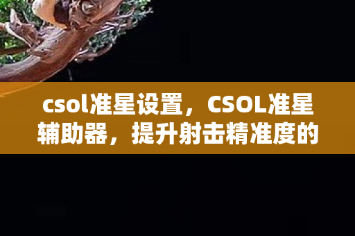 csol准星设置，CSOL准星辅助器，提升射击精准度的利器