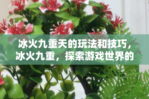 冰火九重天的玩法和技巧，冰火九重，探索游戏世界的双重魅力