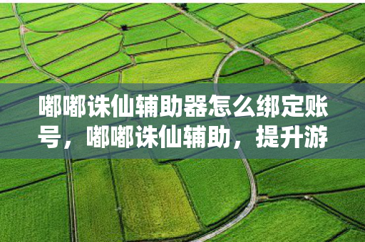 嘟嘟诛仙辅助器怎么绑定账号，嘟嘟诛仙辅助，提升游戏体验的得力助手