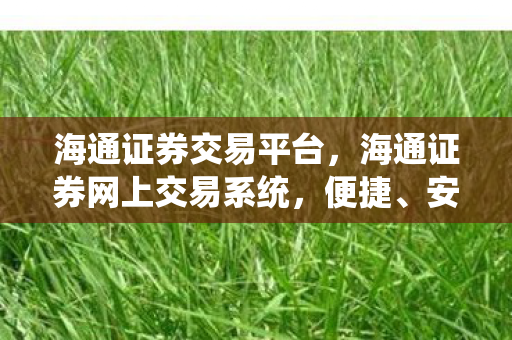海通证券交易平台，海通证券网上交易系统，便捷、安全、高效的在线投资新体验