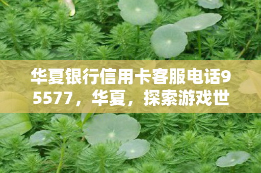 华夏银行信用卡客服电话95577，华夏，探索游戏世界的无限可能