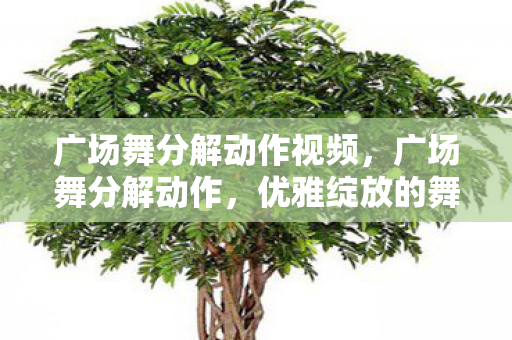 广场舞分解动作视频，广场舞分解动作，优雅绽放的舞步