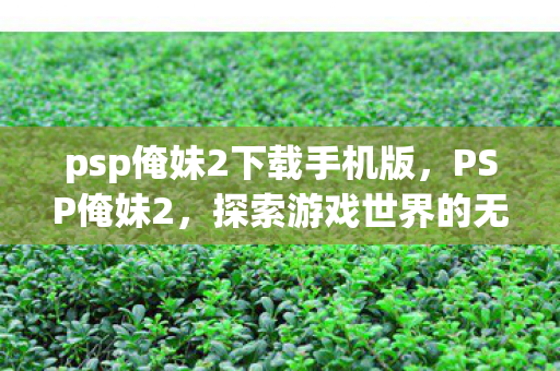 psp俺妹2下载手机版，PSP俺妹2，探索游戏世界的无限可能