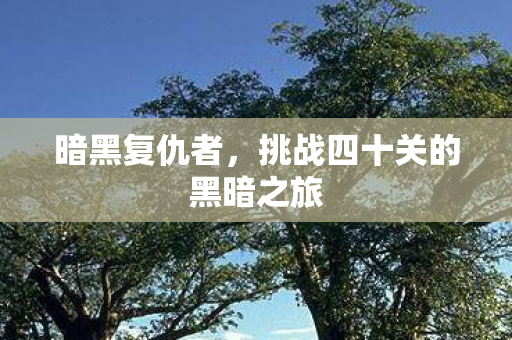 暗黑复仇者,挑战四十关的黑暗之旅 暗黑复仇者,挑战四十关的黑暗之旅