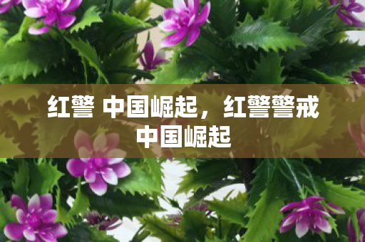 红警 中国崛起，红警警戒中国崛起