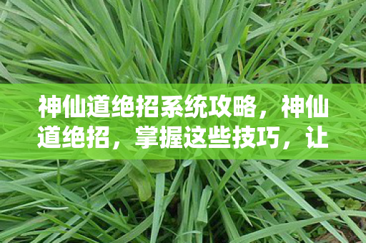 神仙道绝招系统攻略，神仙道绝招，掌握这些技巧，让你在游戏中独步天下