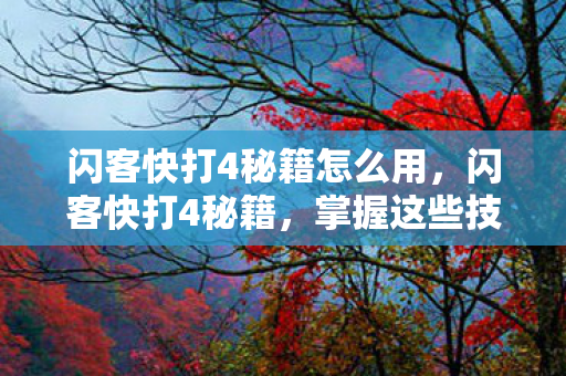 闪客快打4秘籍怎么用，闪客快打4秘籍，掌握这些技巧，轻松通关！