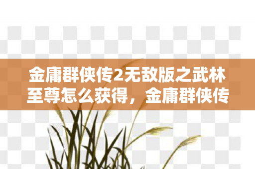 金庸群侠传2无敌版之武林至尊怎么获得，金庸群侠传2无敌版之武林至尊