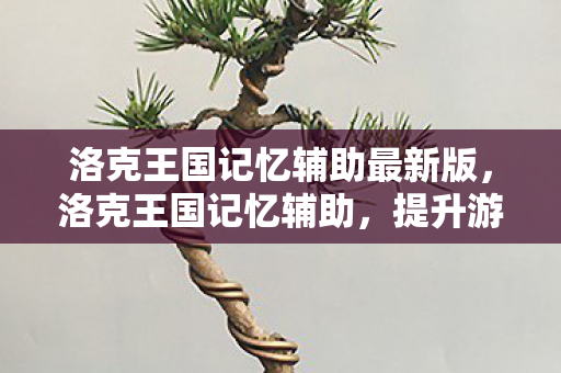 洛克王国记忆辅助最新版，洛克王国记忆辅助，提升游戏效率与乐趣的实用工具