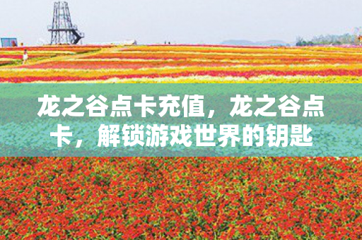 龙之谷点卡充值，龙之谷点卡，解锁游戏世界的钥匙