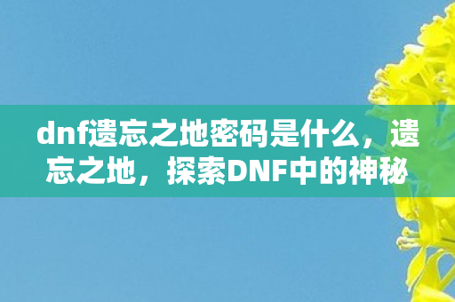 dnf遗忘之地密码是什么，遗忘之地，探索DNF中的神秘领域