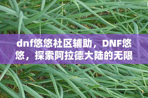 dnf悠悠社区辅助，DNF悠悠，探索阿拉德大陆的无限可能
