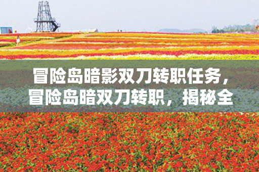 冒险岛暗影双刀转职任务，冒险岛暗双刀转职，揭秘全新职业的魅力与挑战