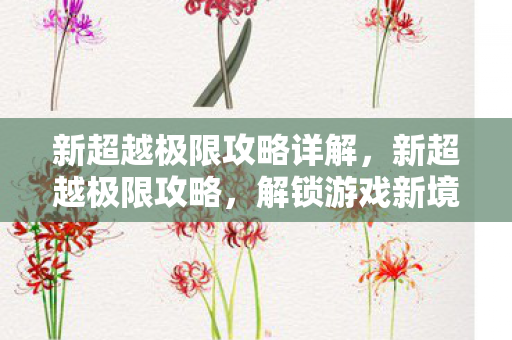 新超越极限攻略详解，新超越极限攻略，解锁游戏新境界的实战指南