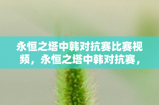 永恒之塔中韩对抗赛比赛视频,永恒之塔中韩对抗赛,电竞激情与跨国交流的盛宴 永恒之塔中韩对抗赛比赛视频,永恒之塔中韩对抗赛,电竞激情与跨国交流的盛宴