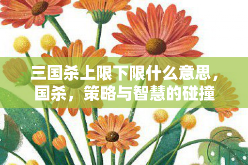 三国杀上限下限什么意思,国杀,策略与智慧的碰撞 三国杀上限下限什么意思,国杀,策略与智慧的碰撞