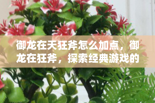 御龙在天狂斧怎么加点,御龙在狂斧,探索经典游戏的魅力与传承 御龙在天狂斧怎么加点,御龙在狂斧,探索经典游戏的魅力与传承