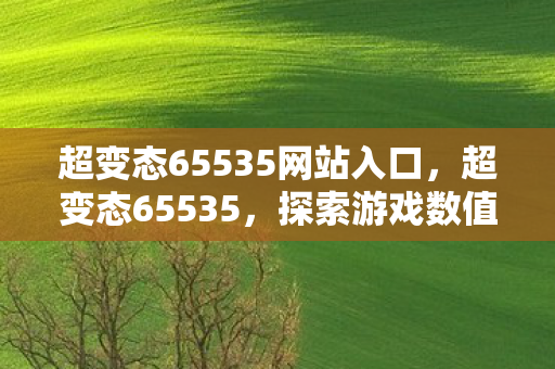 超变态65535网站入口,超变态65535,探索游戏数值的极限 超变态65535网站入口,超变态65535,探索游戏数值的极限