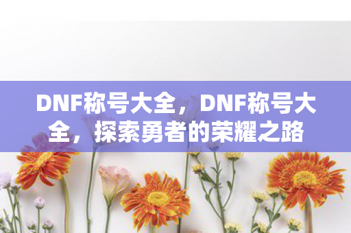 DNF称号大全，DNF称号大全，探索勇者的荣耀之路