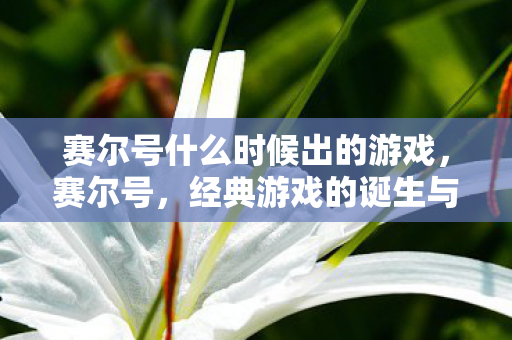 赛尔号什么时候出的游戏,赛尔号,经典游戏的诞生与成长 赛尔号什么时候出的游戏,赛尔号,经典游戏的诞生与成长