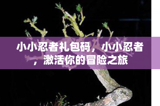 小小忍者礼包码，小小忍者，激活你的冒险之旅