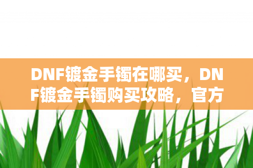 DNF镀金手镯在哪买，DNF镀金手镯购买攻略，官方渠道与性价比考量