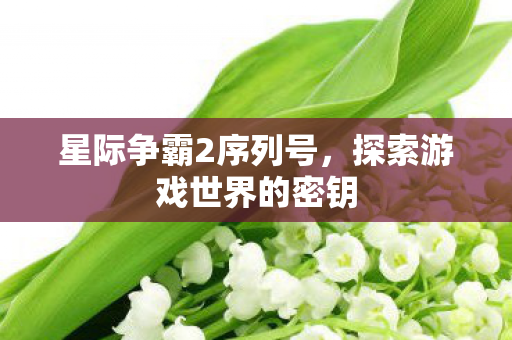 星际争霸2序列号,探索游戏世界的密钥 星际争霸2序列号,探索游戏世界的密钥