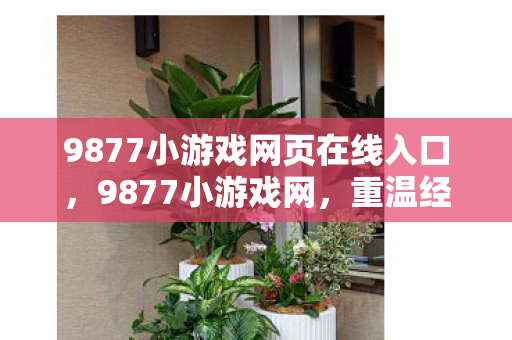 9877小游戏网页在线入口,9877小游戏网,重温经典,尽享游戏乐趣 9877小游戏网页在线入口,9877小游戏网,重温经典,尽享游戏乐趣