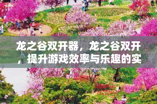 龙之谷双开器，龙之谷双开，提升游戏效率与乐趣的实用指南