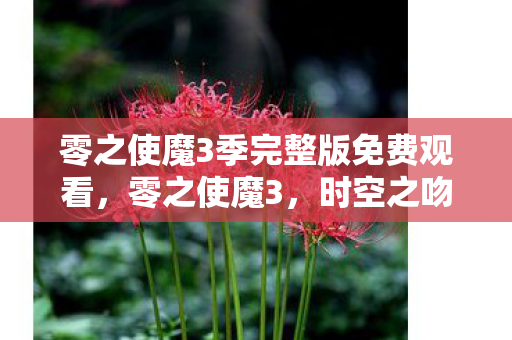 零之使魔3季完整版免费观看，零之使魔3，时空之吻的奇迹