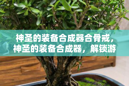 神圣的装备合成器合骨戒,神圣的装备合成器,解锁游戏世界的无限可能 神圣的装备合成器合骨戒,神圣的装备合成器,解锁游戏世界的无限可能