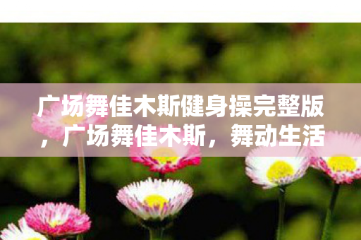 广场舞佳木斯健身操完整版，广场舞佳木斯，舞动生活的艺术，传承文化的力量