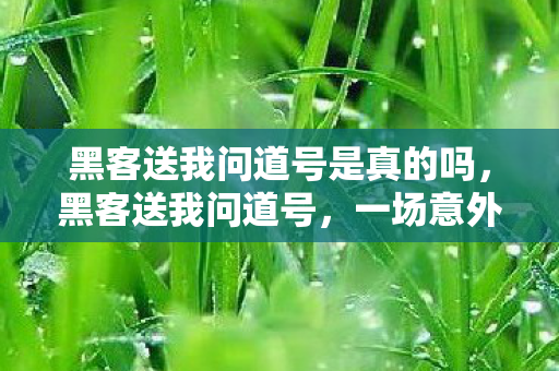 黑客送我问道号是真的吗,黑客送我问道号,一场意外的网络奇缘 黑客送我问道号是真的吗,黑客送我问道号,一场意外的网络奇缘