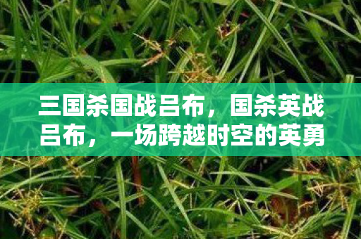 三国杀国战吕布，国杀英战吕布，一场跨越时空的英勇对决