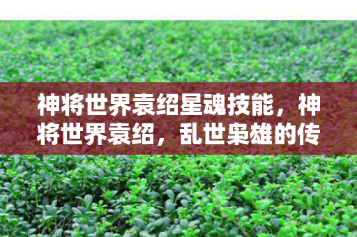 神将世界袁绍星魂技能，神将世界袁绍，乱世枭雄的传奇故事