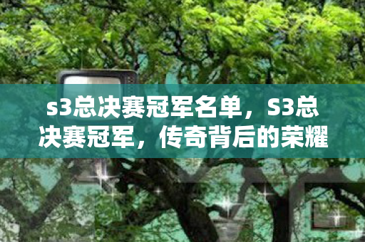 s3总决赛冠军名单，S3总决赛冠军，传奇背后的荣耀与挑战
