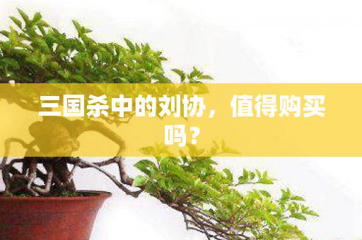三国杀中的刘协,值得购买吗? 三国杀中的刘协,值得购买吗?